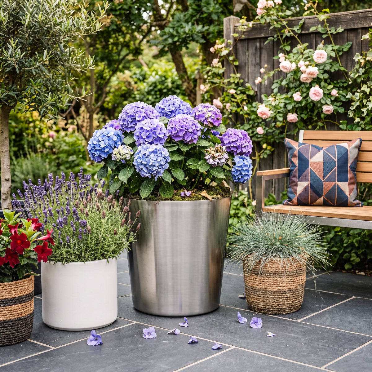 Tuinplanten