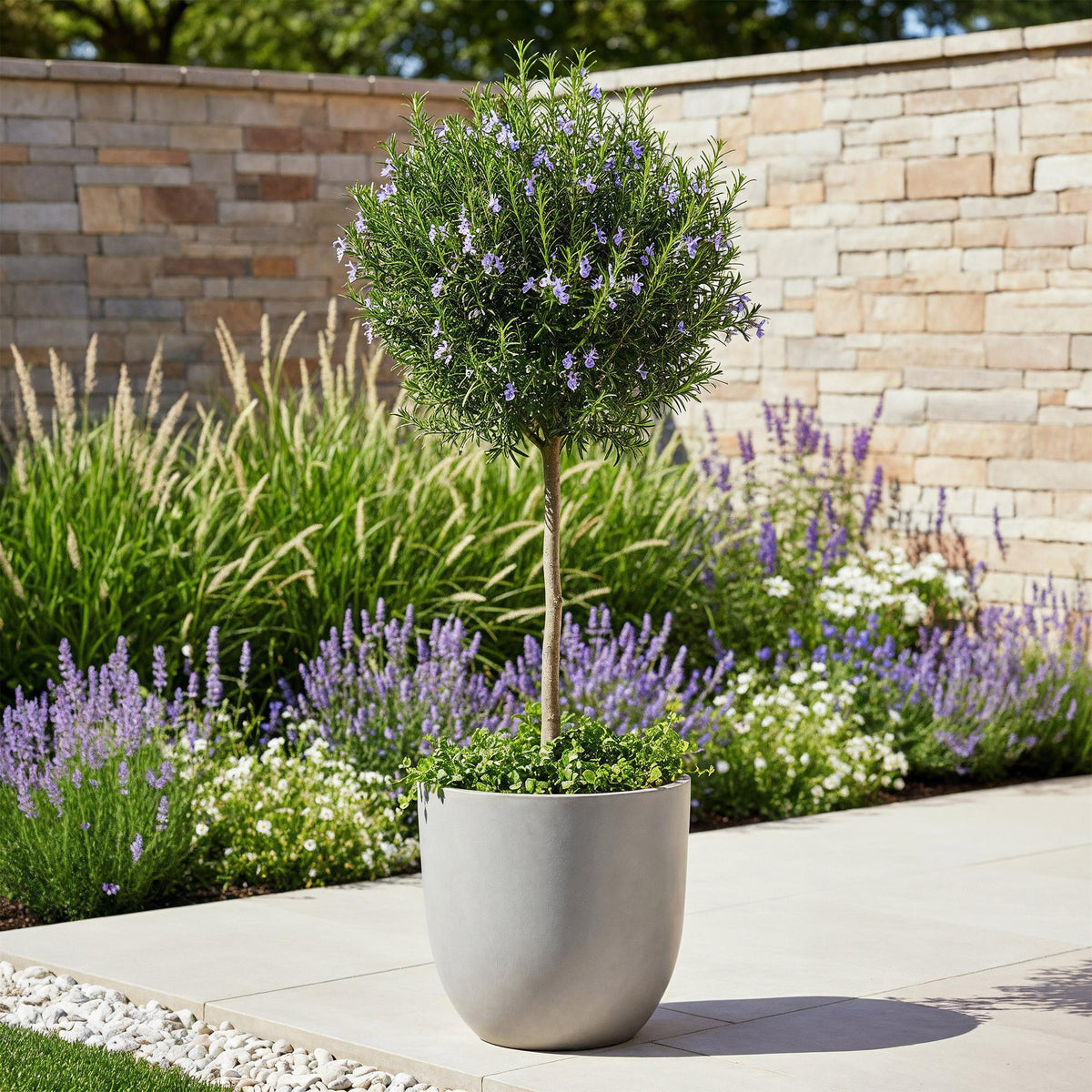 Planten op stam