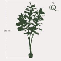 Kunst plant - Ficus Lyrara - Tabaksplant - 210cm XXL - AB