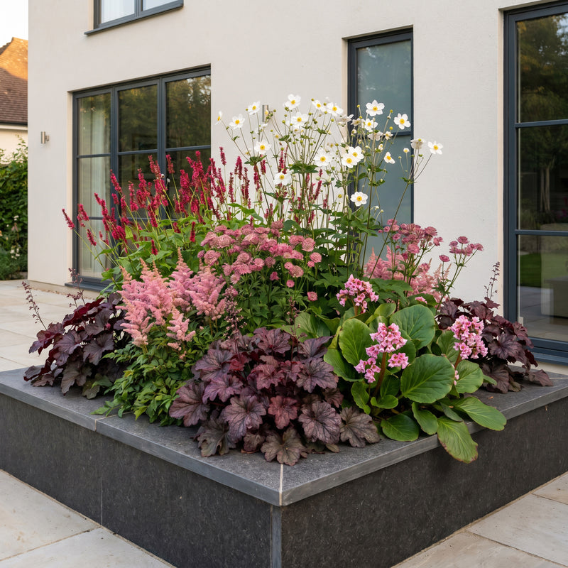 Green boutiQ - Borderpakket - Schaduw - 6 Vaste planten - 1 m2 - Diversen kleuren - Weinig Onderhoud - Pot 11cm