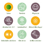Green boutiQ - Kit bordure - Herbes à thé - 6 plantes vivaces - 1 m2 - Couleurs variées - Peu d'entretien - Pot 11cm