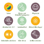 Green boutiQ - Kit bordure - Couleur Blanc - 6 plantes vivaces - 1 m2 - Couleurs variées - Peu d'entretien - Pot 11cm