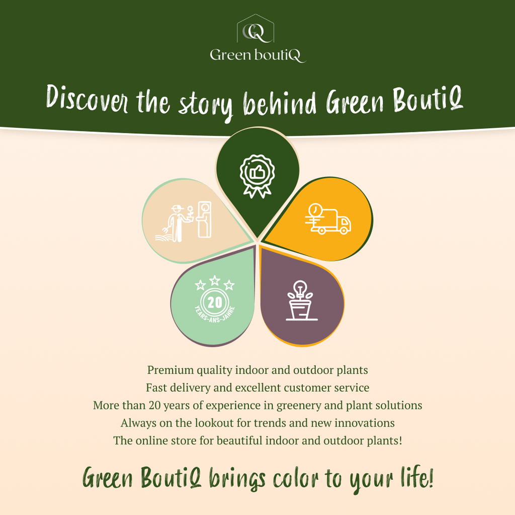 Green boutiQ Verkoperinformatie
