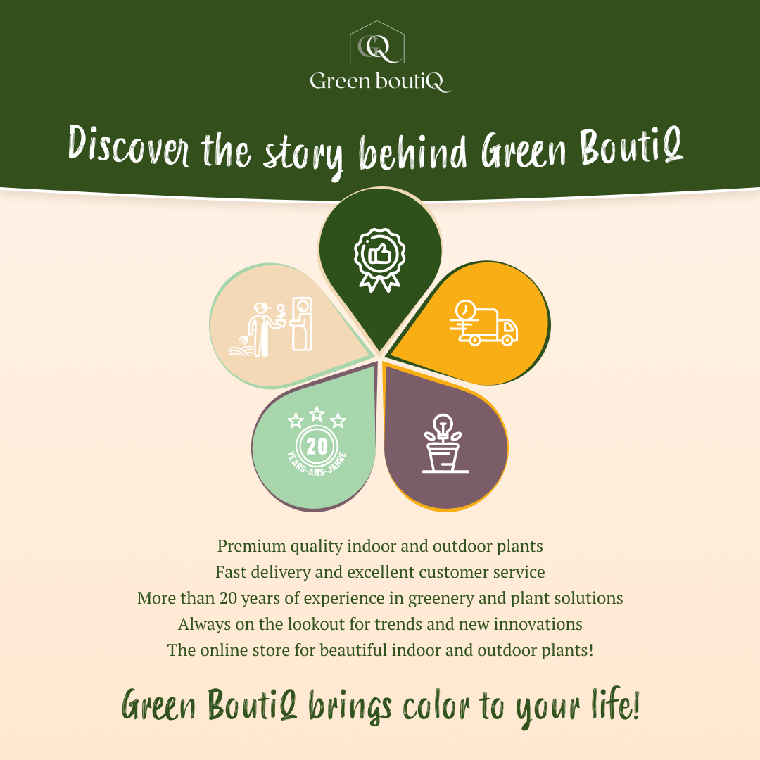 Green boutiQ Verkoperinformatie