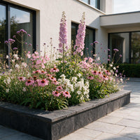 Vasteplant - Borderpakket - Bijen en vlinderlokkend - Diversen - Soorten en kleuren - 12 Planten - Pot 11cm - Hoogte 15-25cm