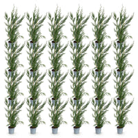 Green boutiQ - 24x Cupressocyparis leylandii 2011 - Leylandii - Haagplanten - Groenblijvend - Groen - Pot 9cm - Hoogte 30-40cm