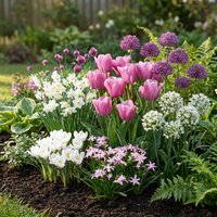 500x Bulb Garden Pink - Bollentuinroze - Diversen - Zomerbloeier - Bolmaat 10/12