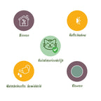 Green boutiQ - Zimmerpflanze - Phlebodium aureum Blue Star - Blausilber-Farn - Haustierfreundlich - Blau - 2 Pflanzen - Topf 12cm - Höhe 25-30cm