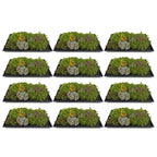 Green boutiQ - Couvre-sol - Rustique - Tapis de sedum - Composé de 10 espèces - X12 - Peu d'entretien - Longueur 50 Largeur 30