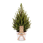Picea glauca Conica - Dwarf Alberta Spruce - Green - Christmas tree - incl. zinc pot - Ø17cm - ↕65cm