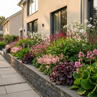 Green boutiQ - Borderpakket - Schaduw - 24 Vaste planten - 3 m2 - Diversen kleuren - Weinig Onderhoud - Pot 11cm