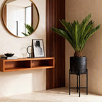 Green boutiQ - Zimmerpflanze - Cycas revoluta - Palmfarn - Pflegeleicht - Grün - 2 - Topf 17cm - Höhe 55-65cm