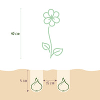Green boutiQ - Bloembollen - Freesia Double Mix - Diversen Kleuren - 40 stuks - Bolmaat 5/6 - XXL Pack