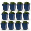 Green boutiQ - Plante vivace - Campanula portenschlagiana - Campanule à feuilles de pêcher - Couvre-sol - Rose - 12 plantes - Pot 11cm - Hauteur 15-25cm