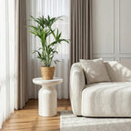 Green boutiQ - Plante d'intérieur - Howea Forsteriana - Palmier Kentia - Facile d'entretien - Vert - 1 Plante - avec Panier - Pot 19cm - Hauteur 80-85cm