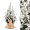Picea glauca Conica - Dwarf Alberta Spruce - Green - White - Christmas tree - incl. jute bag - Ø19cm - ↕65cm