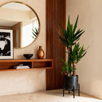 Green boutiQ - Plante d'intérieur - Yucca elephantipes - Yucca - Peu d'entretien - Vert - 1 - Pot 21cm - Hauteur 100cm