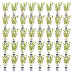 Green boutiQ - 40x Ligustrum ovalifolium Aureum - Gold-Liguster - Heckenpflanzen - Immergrün - Bunt - Topf 9cm - Höhe 35-45cm