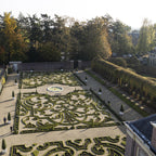 Green boutiQ - Haie de buis - BetterBuxus Babylon Beauty - Résistant à la maladie du buis - 14 plantes - 2 mètres linéaires - pot 10,5 cm hauteur 25-30