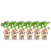 Green boutiQ - Fruitplanten - Aardbei - Fragaria Maxim - Winterhard - 6 Planten - Pot 9 cm - Rode Aardbei