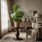 Green boutiQ - Plante d'intérieur - Calathea Orbifolia - Vert - Entretien facile - 1 plante - avec panier - Pot 21cm - Hauteur 60 - 70cm