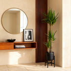 Green boutiQ - Plante d'intérieur - Yucca elephantipes - Yucca - Peu d'entretien - Vert - 1 - Pot 24cm - Hauteur 140cm