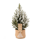 Picea glauca Conica - Dwarf Alberta Spruce - Green - White - Christmas tree - incl. jute bag - Ø17cm - ↕65cm