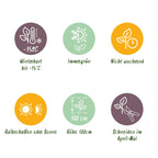 Green boutiQ - Plantes de haie - Euonymus japonica Green Spire - feuilles vertes - 8 plantes - 1 mètre linéaire - persistant - pot 9cm hauteur 20-25cm