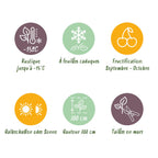 Green boutiQ - Plant fruitier - Actinidia Weiki & Hayward - Plant de kiwi - 1 mâle - 1 femelle - Plantes - Vert - Pot 15cm - Hauteur 50cm