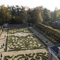 Green boutiQ - Buxus Haag - BetterBuxus Babylon Beauty - Resistant tegen de Buxus Schimmel - 7 planten - 1 strekkende meter - pot 10,5cm hoogte 25-30