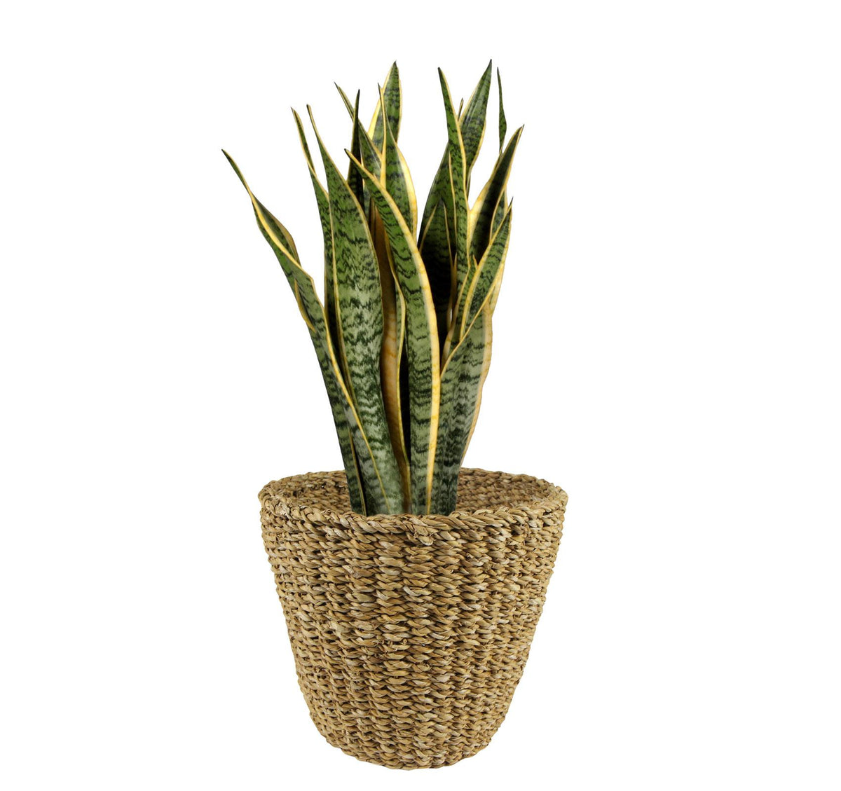 Panier - Brun clair - Jip naturel - M - H23 L26