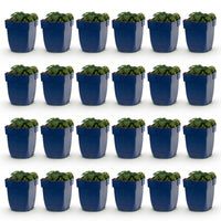 Green boutiQ - Vasteplant - Geranium sang. Max Frei - Ooievaarsbek - Bodembedekkend - Roze - 24 Planten - Pot 11cm - Hoogte 15-25cm
