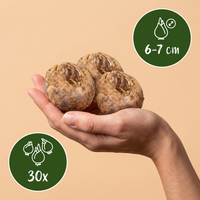 Green boutiQ - Bloembollen - Fritillaria Meleagris Mix - Kleur Paars en Wit - 30 stuks - Bolmaat 6/7 - XXL Pack - foto 3