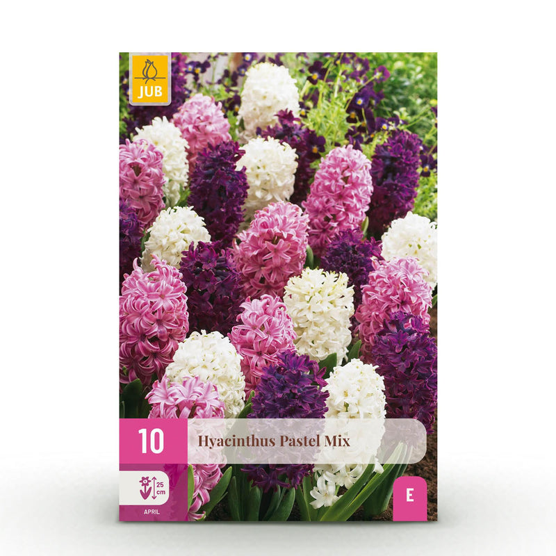 Green boutiQ - Bloembollen - Hyacinth Pastel mix - Diversen Pastel Kleuren - 10 stuks - Bolmaat 14/15 - XXL Pack
