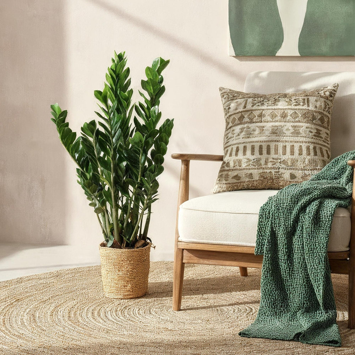 Green BoutiQ - Green is... Plantes d'intérieur - Zamioculcas - Plante ZZ - Peu d'entretien - Vert - 1 plante - Pot 21cm - Hauteur 80-90cm