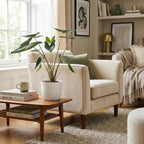 Green boutiQ - Plante d'intérieur - Oreille d'éléphant - Alocasia Zebrina - Vert - Peu d'entretien - 1 plante - avec pot blanc - Pot 21 cm - Hauteur 70 - 75 cm