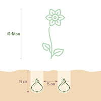 Green boutiQ - Bloembollen - Bulb Garden Pink mix - Diversen soorten - Kleur Roze - 125 stuks - Gift Verpakking