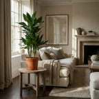 Green boutiQ - Plante d'intérieur - Dragonnier Janet Craig - Dracaena Janet Craig - Vert - Peu d'entretien - 1 plante - Pot 21cm - Hauteur 90 - 100cm