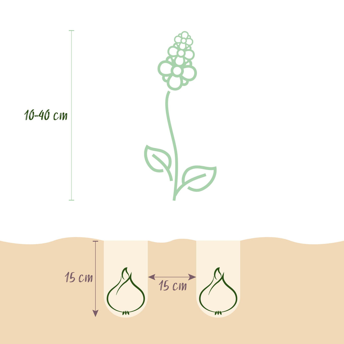 Green boutiQ - Bloembollen - Bulb Garden mix - Diversen soorten en kleuren - 125 stuks - Gift Verpakking