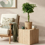 Green BoutiQ - Green is... Plantes d'intérieur - Schefflera Nora - Arbre à ombrelle - Peu d'entretien - avec panier - Vert - 1 plante - Pot 21cm - Hauteur 70-82cm