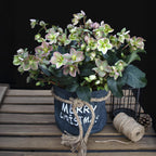 Green boutiQ - Plante de jardin - Rose de Carême - Hellébore Angels Glow - Fleur rose - Persistant - Pot 19cm Hauteur 50cm