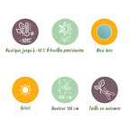 Green boutiQ - Plante de terrasse - Eucalyptus - Eucalyptus gunni - Gris - 2 plantes - Rustique - Pot 14 cm Hauteur 30 cm
