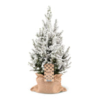 Picea glauca Conica - Dwarf Alberta Spruce - Green - White - Christmas tree - incl. jute bag - Ø19cm - ↕65cm