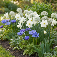 70x Bulb Sunny Garden - Zonnige tuinbol - Diversen - Zomerbloeier - Bolmaat 10/12
