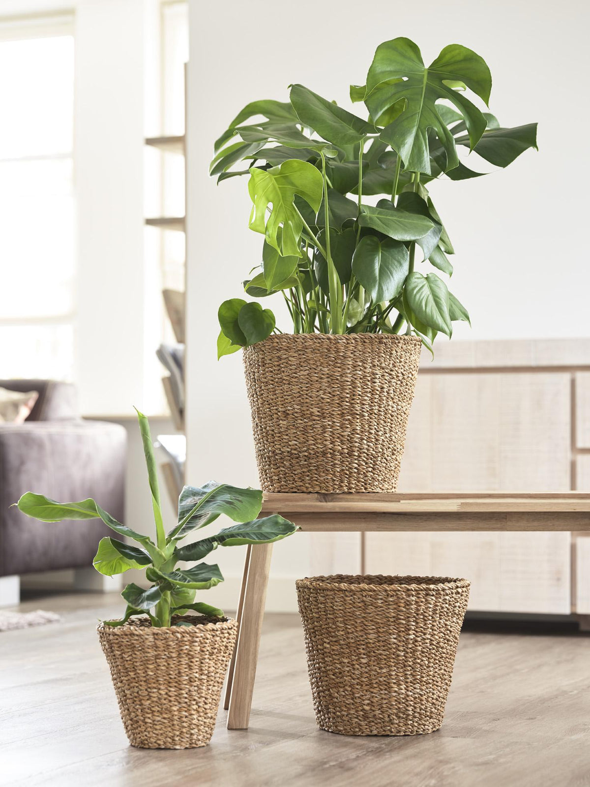 Panier - Brun clair - Jip naturel - M - H23 L26