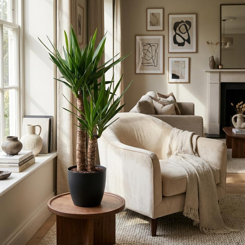 Green boutiQ - Kamerplant - Yucca - Yucca Elephantipes - Groen - Weinig onderhoud - 1 Plant - met Potter Wit - Pot 21cm - Hoogte 80 - 90cm