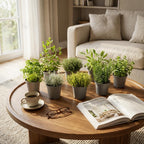Mélange d'herbes italiennes - 8 pièces - Ø 12 cm - Hauteur : 12-15 cm