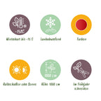 Green boutiQ - Tuinplant - Cercidiphyllum japonicum - Groen 3 Planten - Bladverliezend - Weinig Onderhoud - Pot 12cm Hoogte 35cm