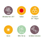 Green boutiQ - Plants fruitiers - Groseillier à grappes - Ribes rubrum Jonkheer van Tets - Rustique - 6 plantes - Pot 9 cm - Groseille rouge