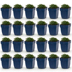 Green boutiQ - Stauden - Campanula portenschlagiana - Pfirsichblättrige Glockenblume - Bodendeckend - Rosa - 24 Pflanzen - Topf 11 cm - Höhe 15-25 cm